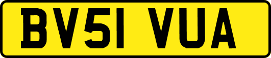 BV51VUA