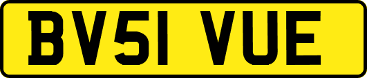 BV51VUE