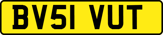 BV51VUT