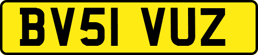 BV51VUZ