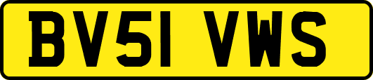 BV51VWS