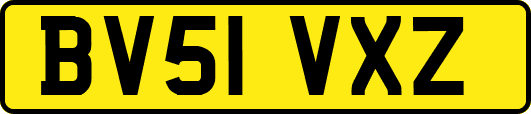 BV51VXZ