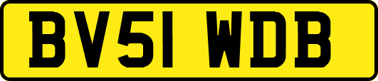 BV51WDB