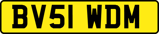 BV51WDM
