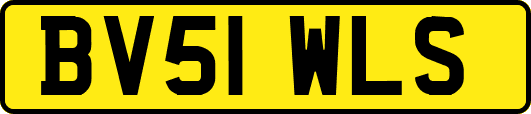 BV51WLS
