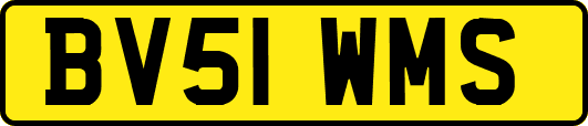 BV51WMS