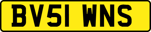 BV51WNS