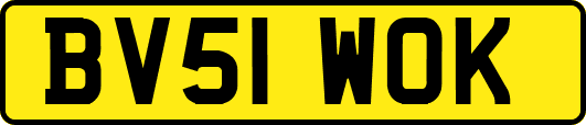 BV51WOK