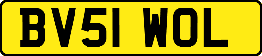 BV51WOL