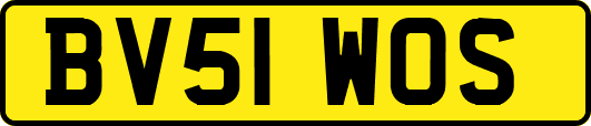 BV51WOS