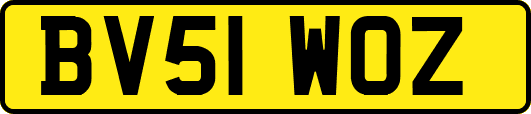 BV51WOZ