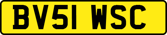 BV51WSC
