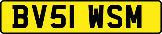 BV51WSM
