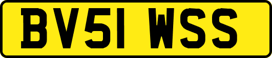 BV51WSS