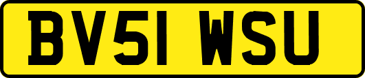 BV51WSU