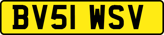 BV51WSV