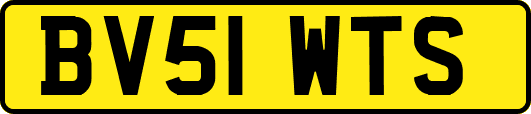 BV51WTS