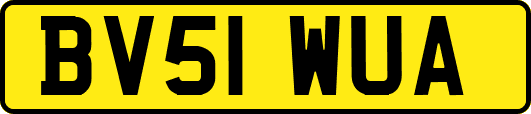 BV51WUA
