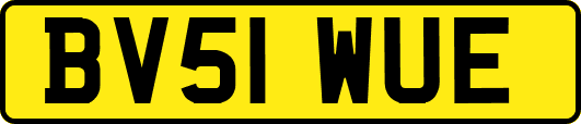 BV51WUE