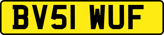 BV51WUF