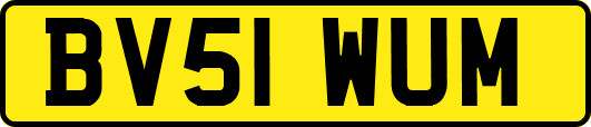BV51WUM