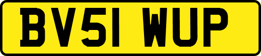 BV51WUP