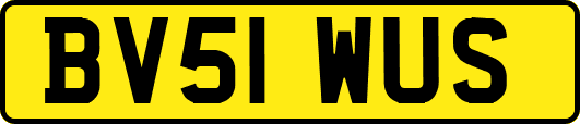 BV51WUS