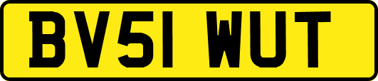 BV51WUT