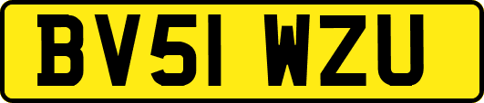 BV51WZU