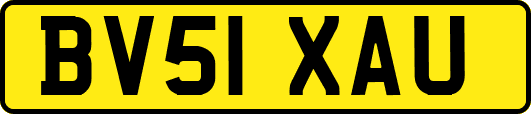 BV51XAU