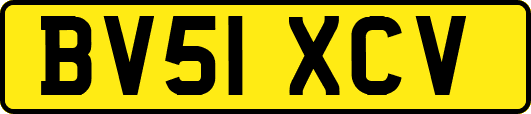 BV51XCV