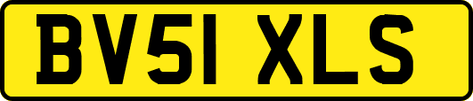 BV51XLS