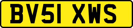 BV51XWS