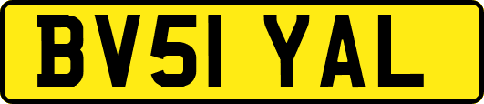 BV51YAL