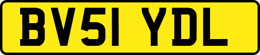 BV51YDL