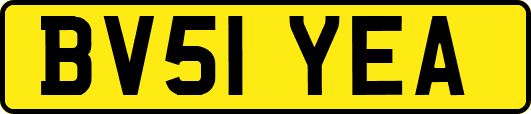 BV51YEA
