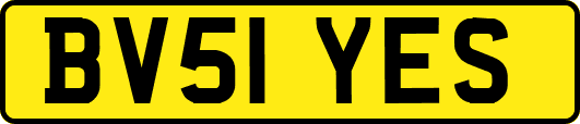 BV51YES