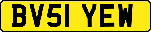 BV51YEW
