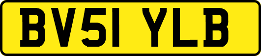 BV51YLB