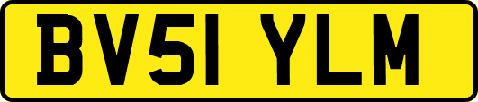BV51YLM