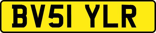 BV51YLR