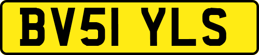 BV51YLS