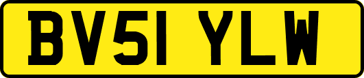 BV51YLW