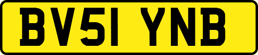 BV51YNB