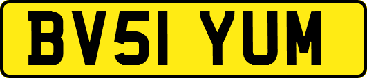 BV51YUM