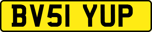 BV51YUP