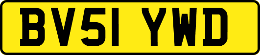 BV51YWD