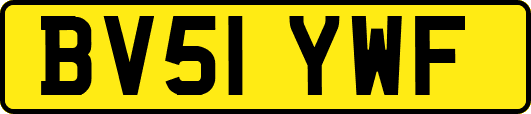 BV51YWF
