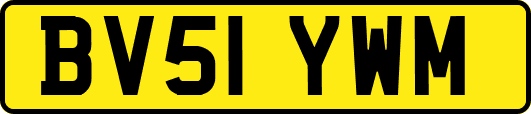 BV51YWM