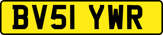 BV51YWR